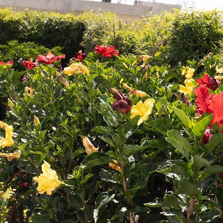 קיטו Hospedaje El Girasol Tababela מראה חיצוני תמונה