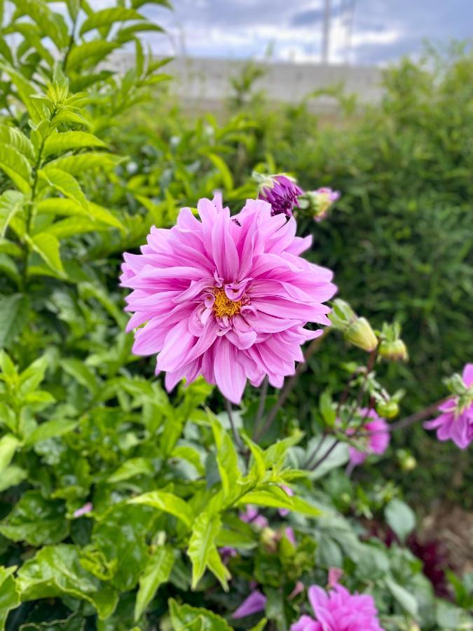 קיטו Hospedaje El Girasol Tababela מראה חיצוני תמונה