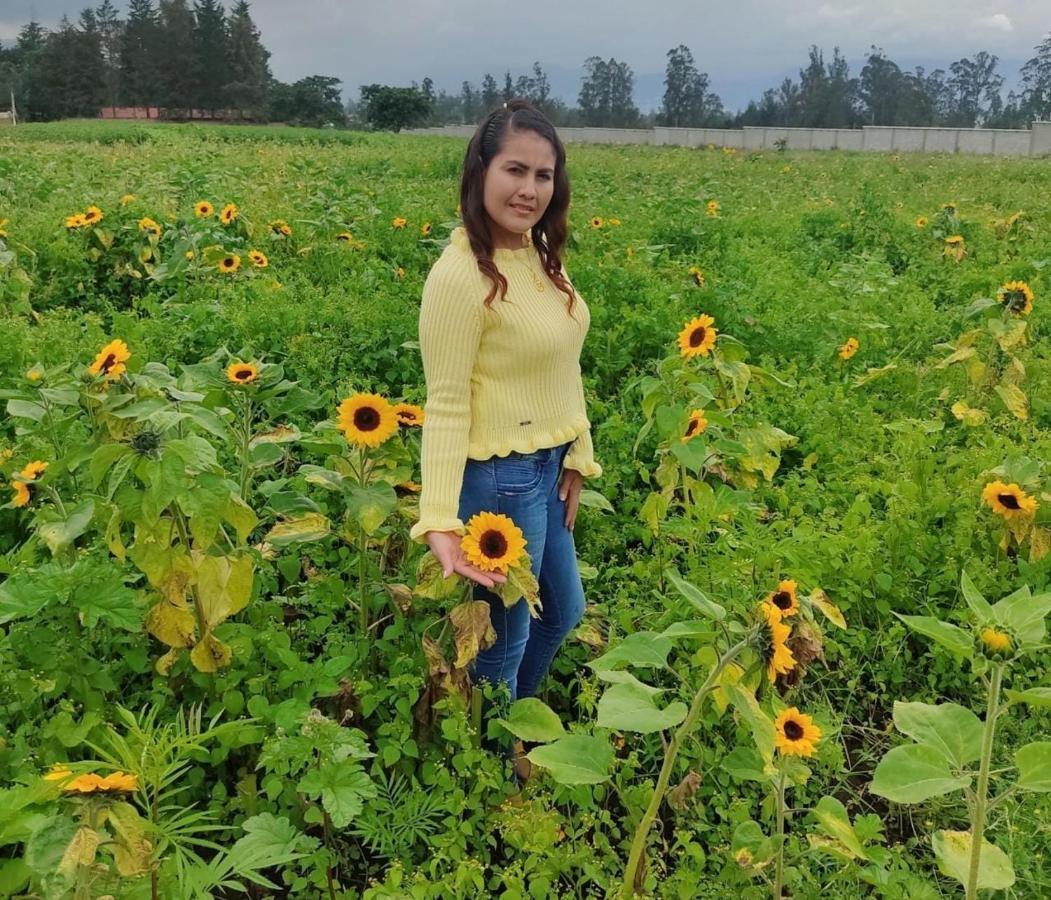 קיטו Hospedaje El Girasol Tababela מראה חיצוני תמונה