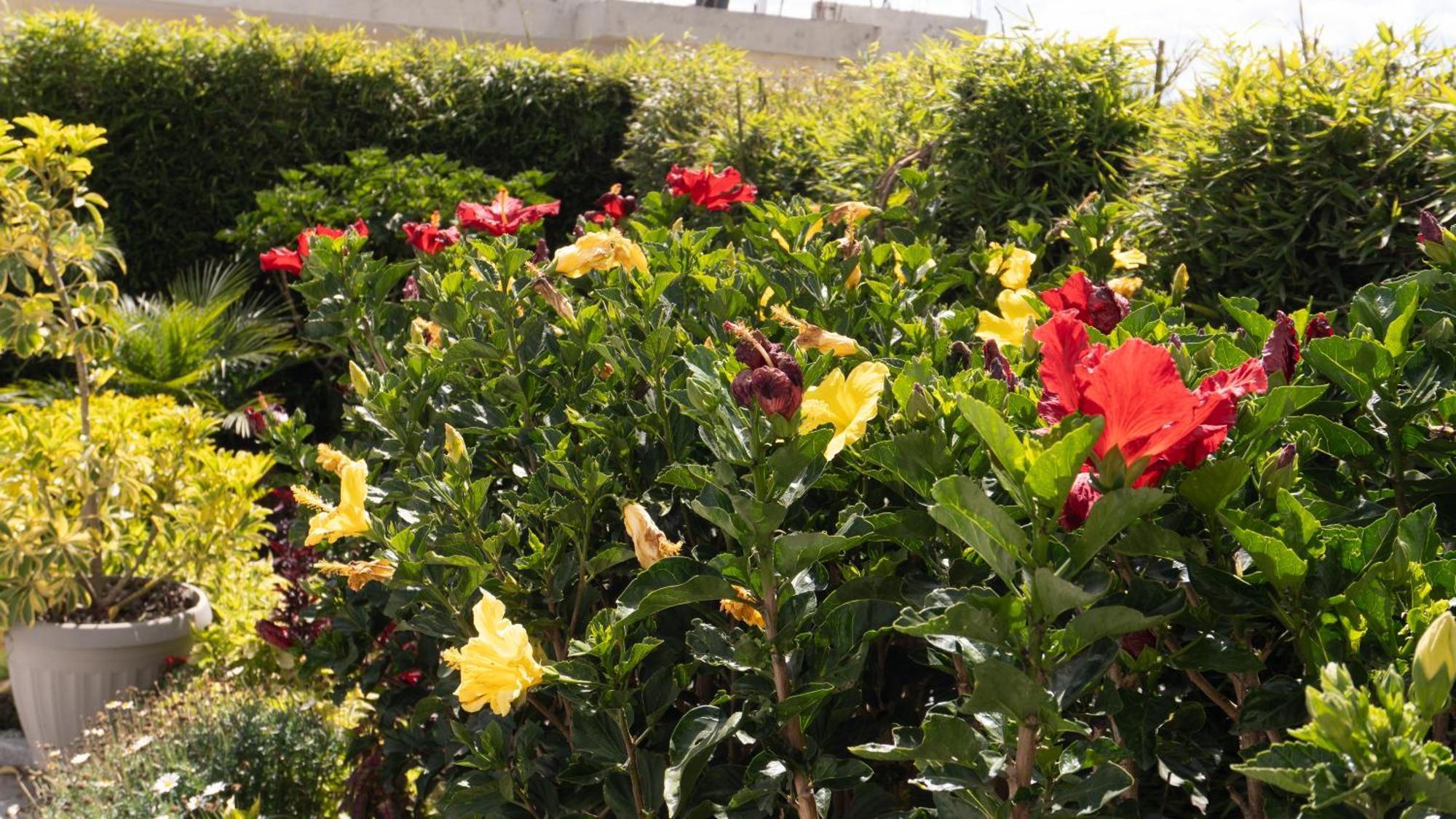 קיטו Hospedaje El Girasol Tababela מראה חיצוני תמונה